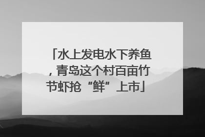 水上发电水下养鱼，青岛这个村百亩竹节虾抢“鲜”上市