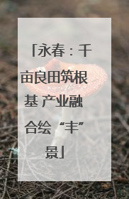 永春：千亩良田筑根基 产业融合绘“丰”景