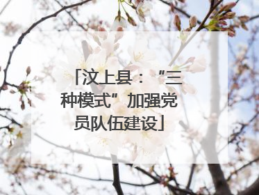 汶上县：“三种模式”加强党员队伍建设