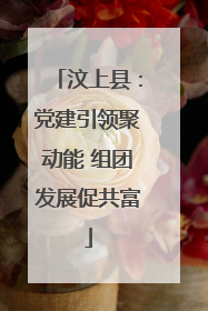 汶上县：党建引领聚动能 组团发展促共富
