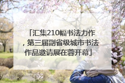 汇集210幅书法力作，第三届副省级城市书法作品邀请展在蓉开幕
