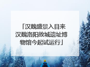 汉魏盛景入目来 汉魏洛阳故城遗址博物馆今起试运行