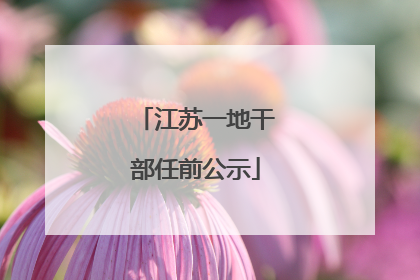 江苏一地干部任前公示