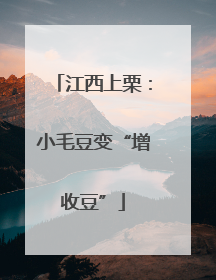 江西上栗：小毛豆变“增收豆”