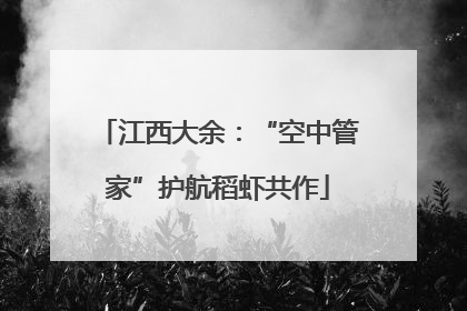 江西大余：“空中管家”护航稻虾共作