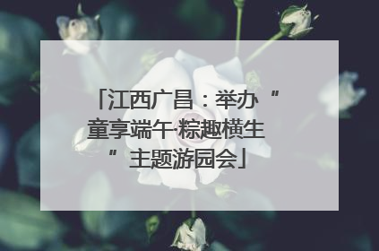 江西广昌：举办“童享端午·粽趣横生”主题游园会