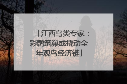 江西鸟类专家：彩鹮筑巢或撬动全年观鸟经济链