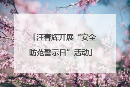 汪春辉开展“安全防范警示日”活动