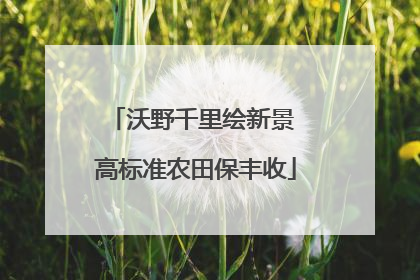 沃野千里绘新景 高标准农田保丰收