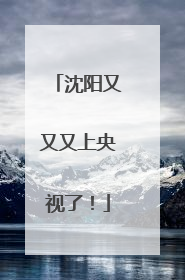 沈阳又又又上央视了！