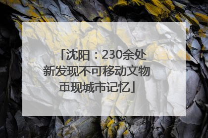 沈阳：230余处新发现不可移动文物重现城市记忆