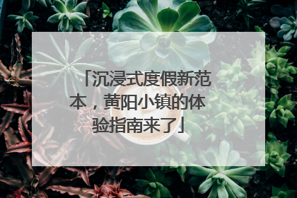 沉浸式度假新范本，黄阳小镇的体验指南来了