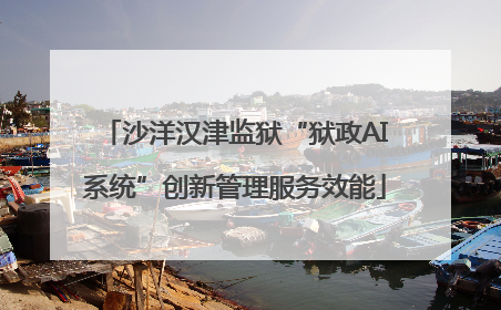 沙洋汉津监狱“狱政AI系统”创新管理服务效能