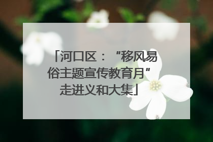 河口区：“移风易俗主题宣传教育月”走进义和大集