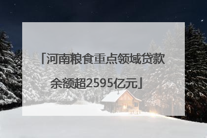 河南粮食重点领域贷款余额超2595亿元