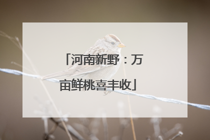 河南新野：万亩鲜桃喜丰收