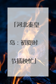 河北秦皇岛：初夏时节插秧忙