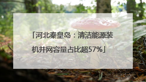 河北秦皇岛：清洁能源装机并网容量占比超57%