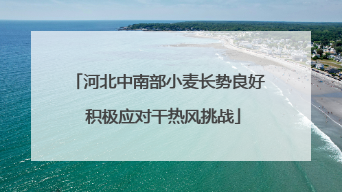 河北中南部小麦长势良好 积极应对干热风挑战
