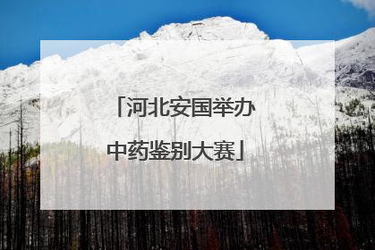 河北安国举办中药鉴别大赛