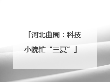 河北曲周：科技小院忙“三夏”