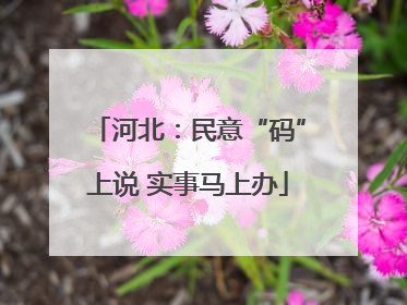 河北：民意“码”上说 实事马上办