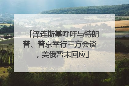 泽连斯基呼吁与特朗普、普京举行三方会谈，美俄暂未回应