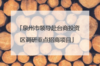 泉州市领导赴台商投资区调研重点招商项目