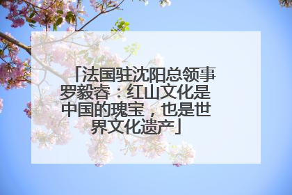 法国驻沈阳总领事罗毅睿：红山文化是中国的瑰宝，也是世界文化遗产