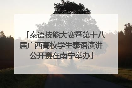 泰语技能大赛暨第十八届广西高校学生泰语演讲公开赛在南宁举办