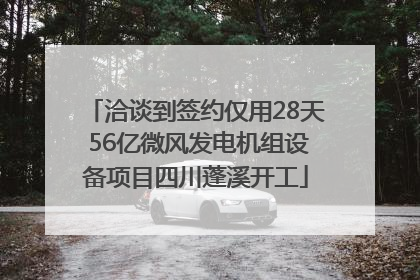 洽谈到签约仅用28天 56亿微风发电机组设备项目四川蓬溪开工