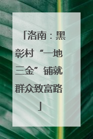 洛南：黑彰村“一地三金”铺就群众致富路