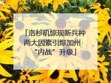洛杉矶惊现新兵种 两大因素引爆加州“内战”升级