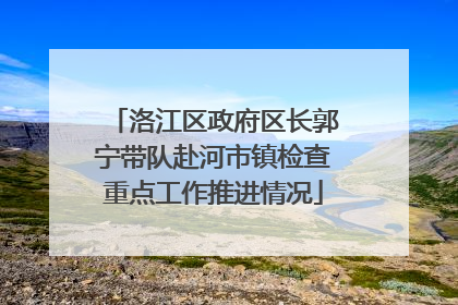 洛江区政府区长郭宁带队赴河市镇检查重点工作推进情况