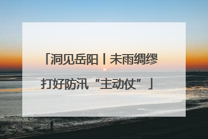 洞见岳阳丨未雨绸缪 打好防汛“主动仗”