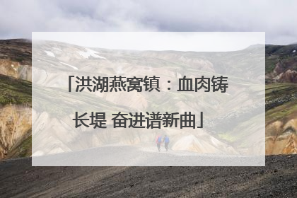 洪湖燕窝镇：血肉铸长堤 奋进谱新曲