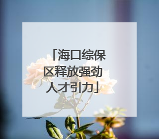 海口综保区释放强劲人才引力