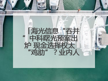 海光信息“吞并”中科曙光预案出炉 现金选择权太“鸡肋”？业内人士：企业不想大量现金流出