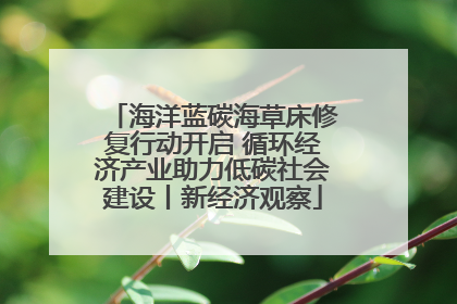 海洋蓝碳海草床修复行动开启 循环经济产业助力低碳社会建设丨新经济观察