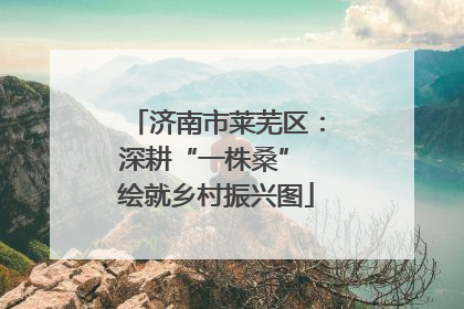 济南市莱芜区：深耕“一株桑” 绘就乡村振兴图