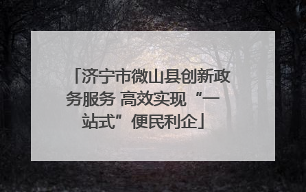 济宁市微山县创新政务服务 高效实现“一站式”便民利企