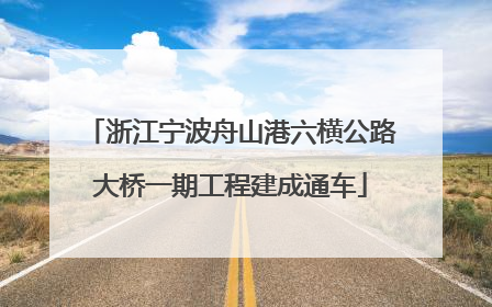 浙江宁波舟山港六横公路大桥一期工程建成通车