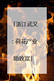 浙江武义：荷花产业助致富