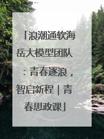 浪潮通软海岳大模型团队：青春逐浪，智启新程｜青春思政课