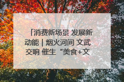 消费新场景 发展新动能｜烟火河间 文武交响 催生“美食+文化”消费新场景