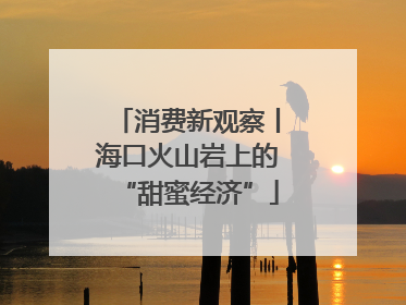 消费新观察丨海口火山岩上的“甜蜜经济”