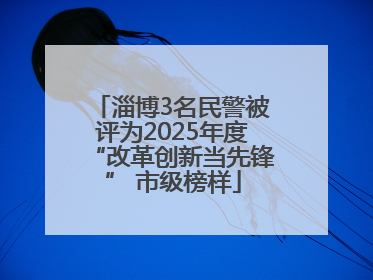 淄博3名民警被评为2025年度“改革创新当先锋” 市级榜样