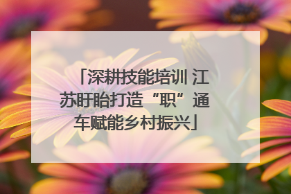 深耕技能培训 江苏盱眙打造“职”通车赋能乡村振兴