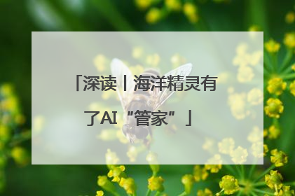 深读丨海洋精灵有了AI“管家”