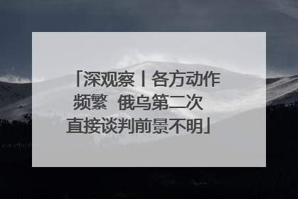 深观察丨各方动作频繁  俄乌第二次直接谈判前景不明